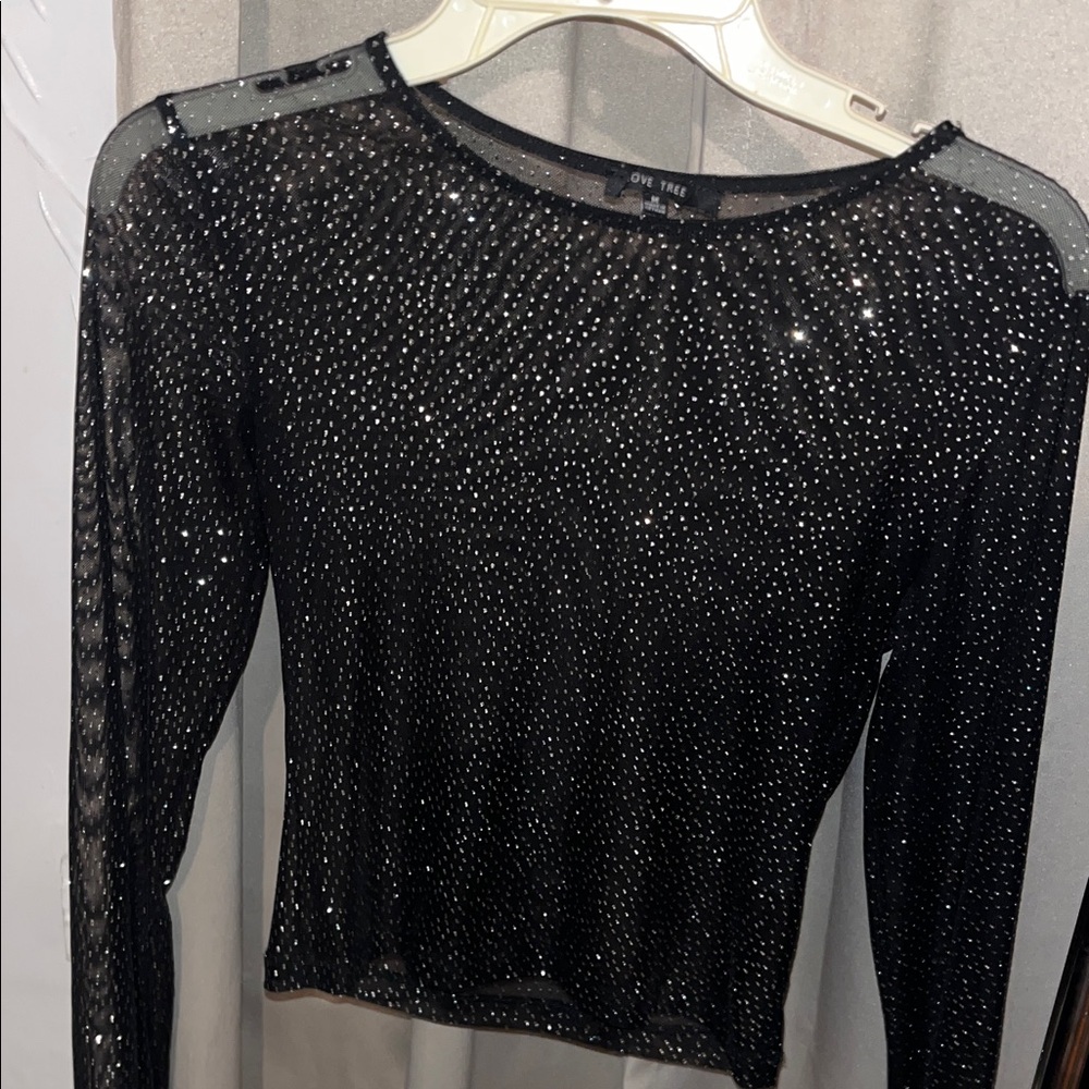 Black Sparkle Mesh Blouse